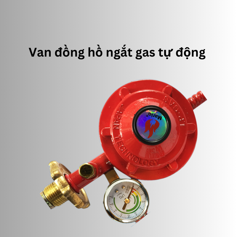 Phụ kiện hệ thống gas công nghiệp